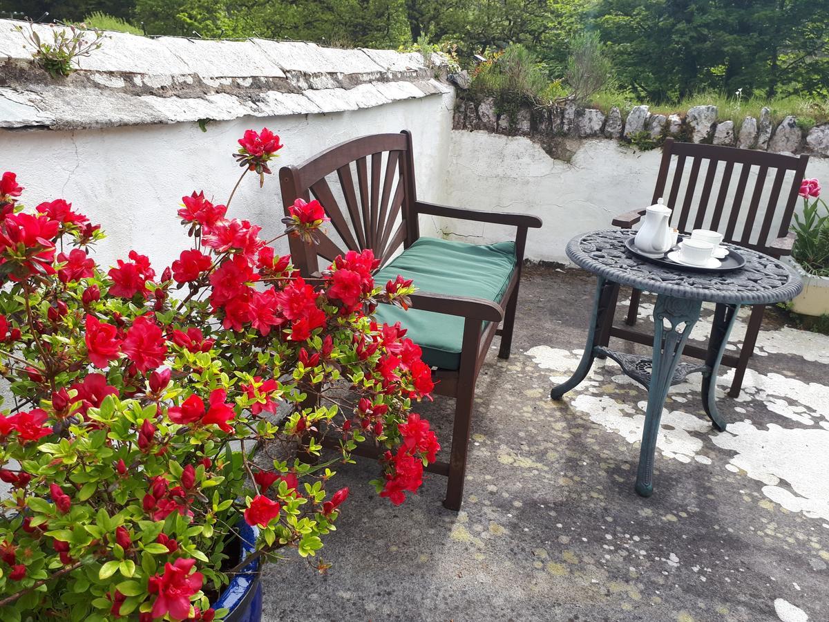 Score Valley Country House Ilfracombe Exteriör bild