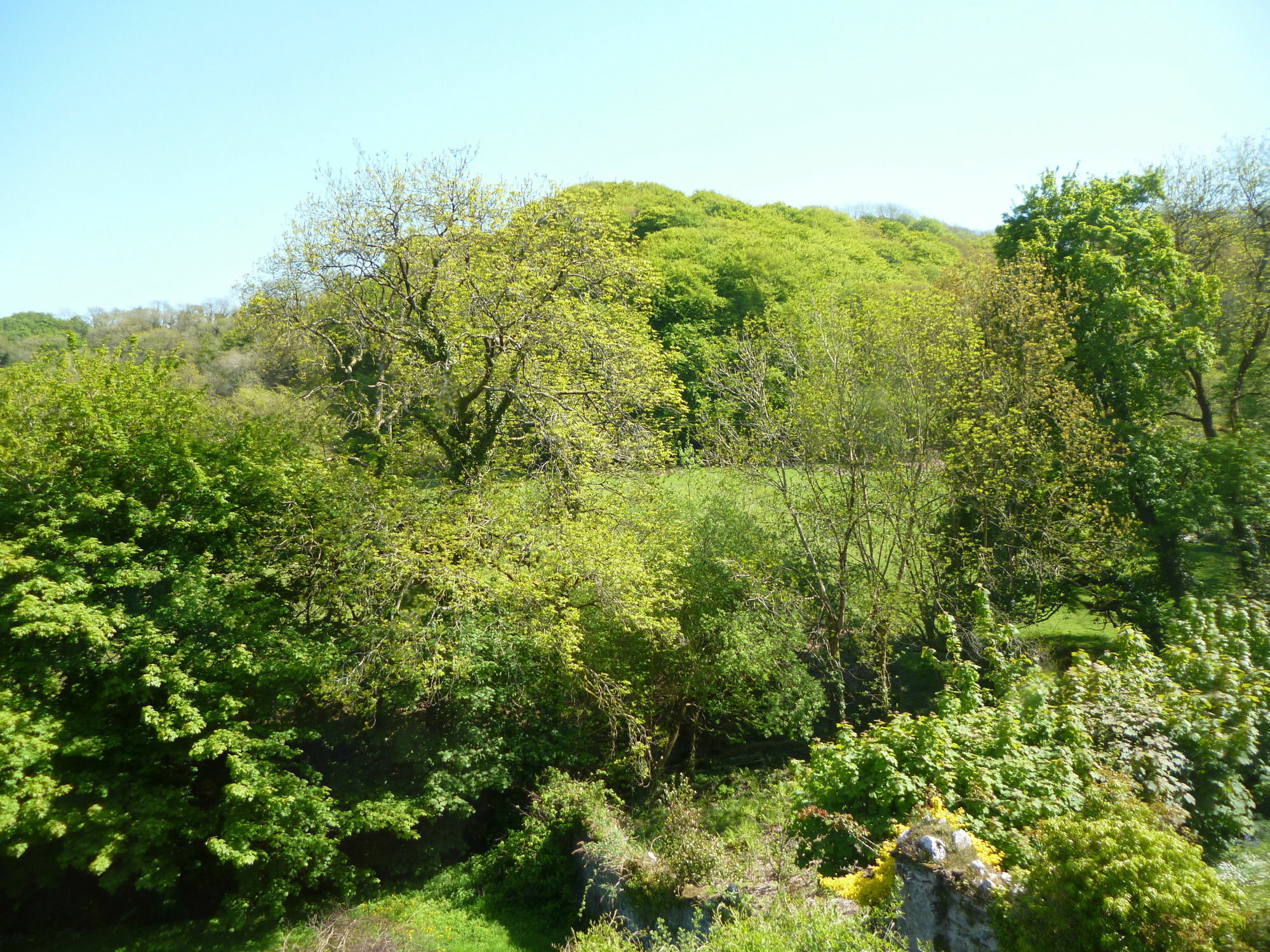 Score Valley Country House Ilfracombe Exteriör bild